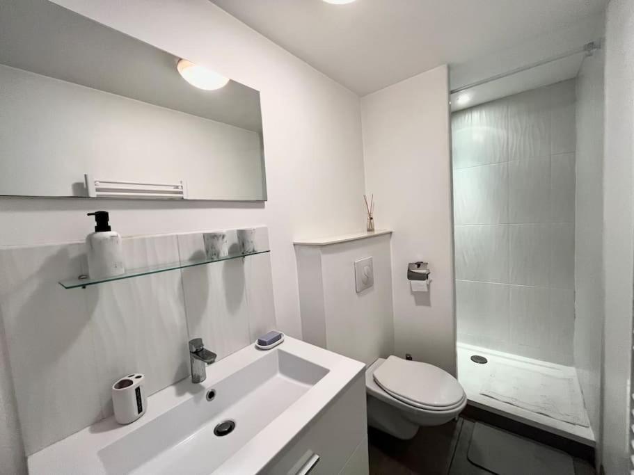 Tres Bel Appartement A 2 Pas Du Theatre Sebastopol Лилль Экстерьер фото
